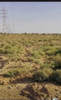 أرض زراعية • طريق الحي مقابل المعهد • مي وكهرباء