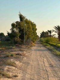 ٤ دونم ونص • طابو زراعي • الرمادي زنكورة