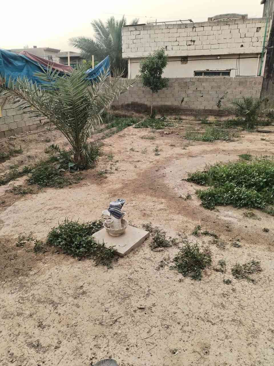 بيت للبيع مساحته ٥٨٠ متر في العريفية قرب محطة اسالة المي بناء قديم طابق واحد استقبال وهول وغرفتين نوم سند ٣٥ موقع جيد خدمات متوفرة للاستفسار الاتصال على ***********
