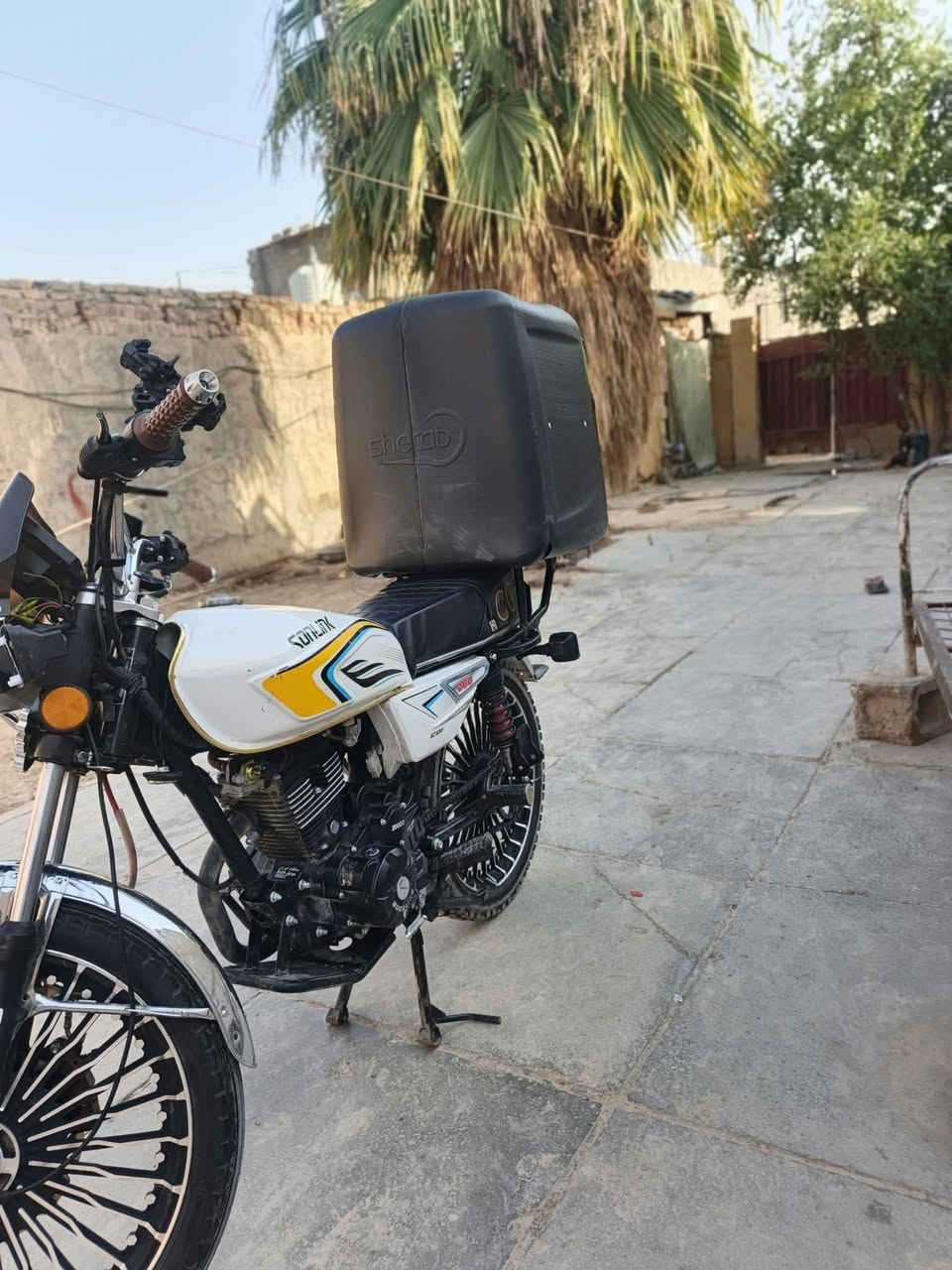 سونك • ٢٠٢٦ • اوراق