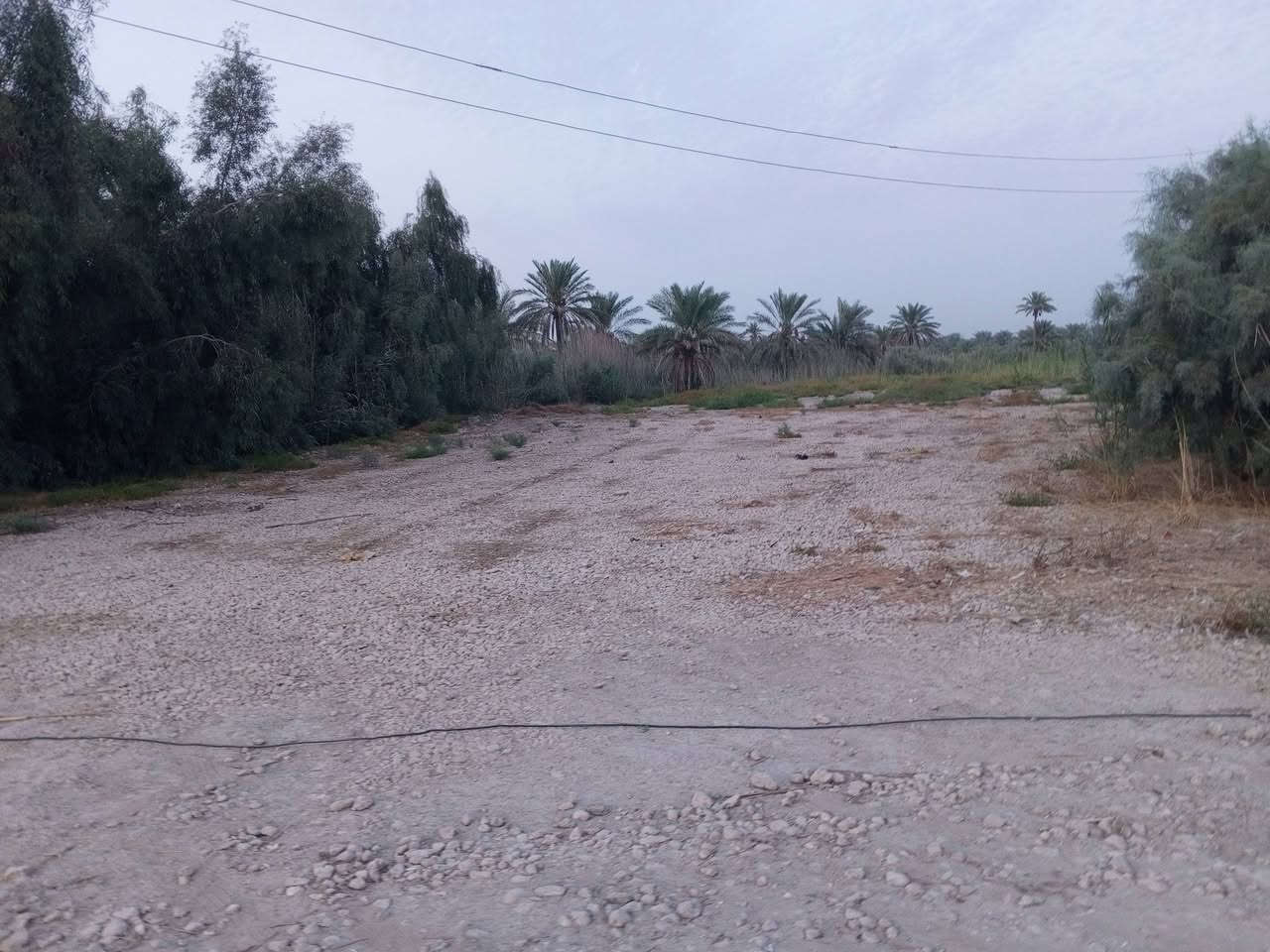 السلام عليكم
نصف دونم  زراعي سند ٢٥ 
المساحة 1250 م 
الواجهه 20 م ونزال 60 .
ماء وكهرباء شارع 10 م
العنوان الهاشمية.طريق حلة ديوانية. شارع بيت عبد الحسين قرب كافية نخيل
للاستفسار ***********
