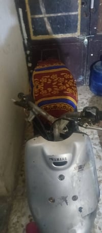 نضيفه • شاصي • ابو طالب