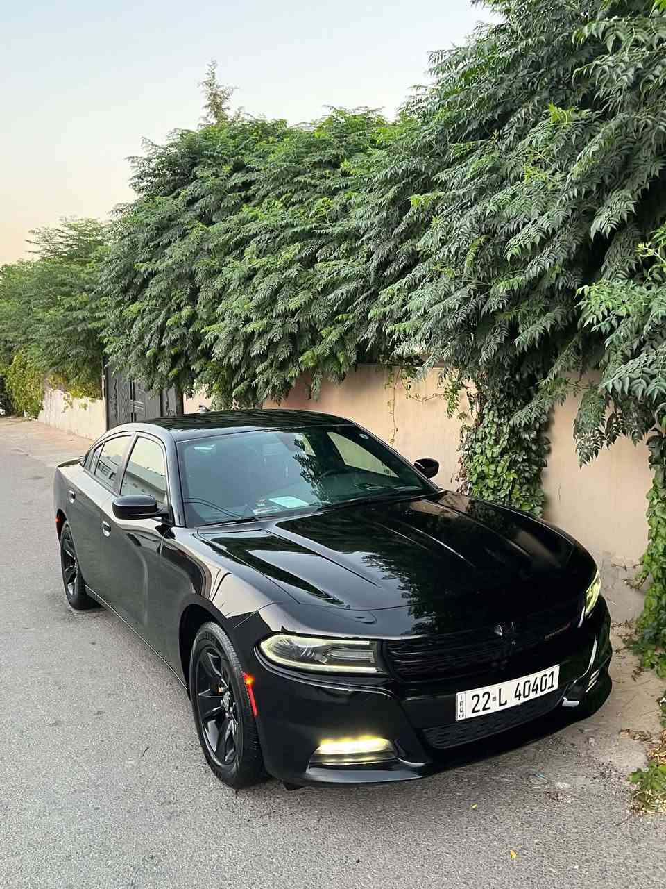 Dodge charger 2017  SXT
دوج چارجر ٢٠١٧ کلین تایتل
مواسەفات sxt
شاشەگەورە
بەصمە
شەخال
دەرگا بەصمە
کوشن کارەبا
حاسە
کامیرا
گێڕو مە کینەی بەشەرت نەکراوەتەوە
بێ بۆیاخو بێ ساردو بێ پارچە گۆڕانە تەنانەت دەعمیەکانیشی بە شەرت بۆیاخی نیە
هەموو گیانی بە شەرت
لە سەر دەقی شەریکە ماوە
دەعمی بۆ دەعمی بە شەرت
شوین سلیمانی 
***********
