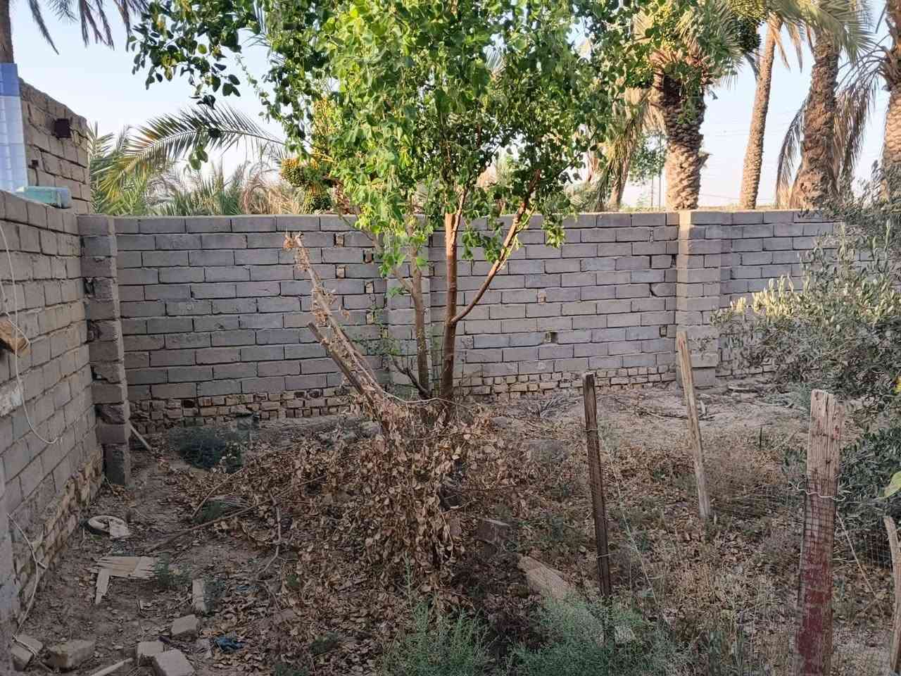 السلام عليكم بيت للبيع مساحه 600 متر من ظمنه قطعه و20 نخله ع شارع العام منطقة الخليليه قرب مدرسة الفارس الاستفسار عن هذا رقم ***********
