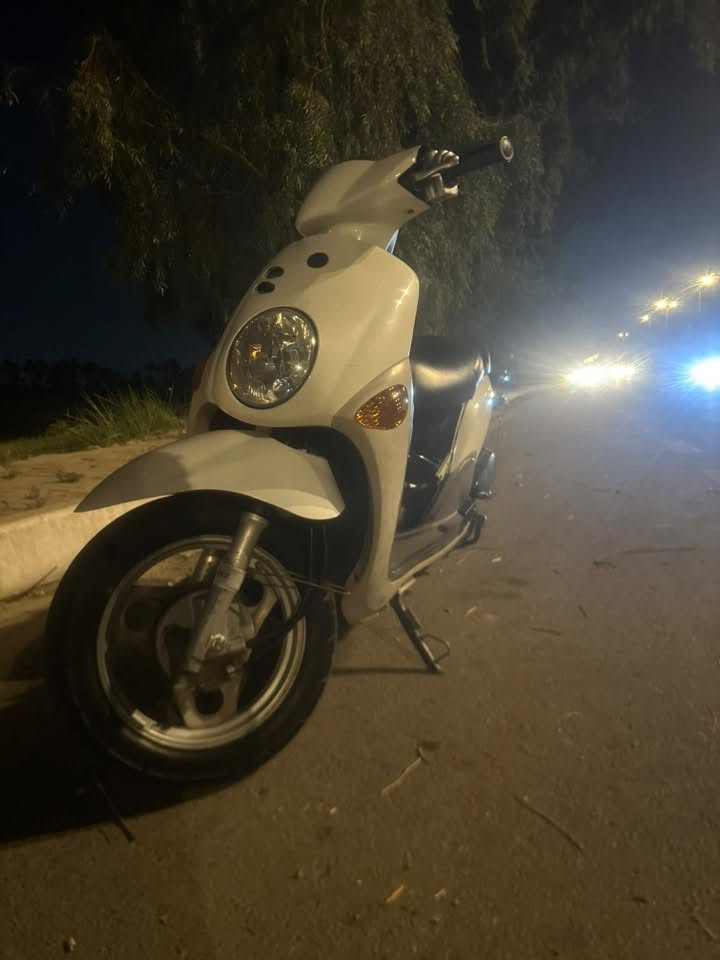 بلادي • استفسار • كربلاء
