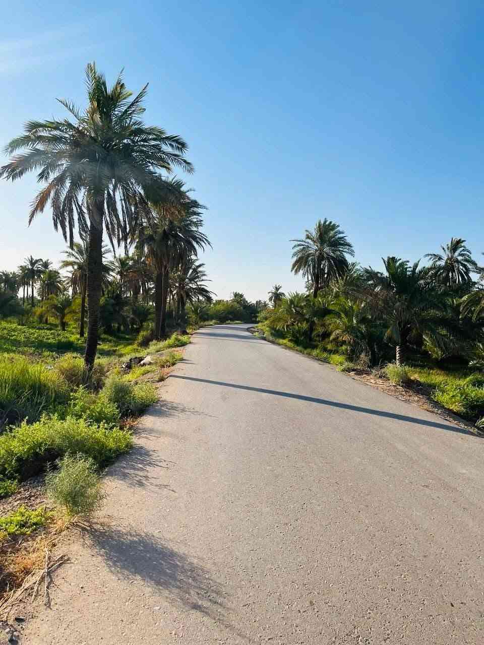 بسم الله 
ارض زراعيه للبيع المساحه 3 دوانم 
طابو زراعي سند 25  ثاني يوم افتحلك بيان 
واجهة الدونم الواحد 45 متر النزال 55 متر 
خدمات كامله  ماء اساله وسقي وكهرباء وتبليط 
مجاور سوق الشيخ عامر تبعد عن دوار 20 دقيقه 
السعر للدونم 30 مليون قابل للتفاوض بغداد التاجي منطقة الشيخ عامر مقابيل سبع البور 
للاتصال والاستفسار يتوفر واتساب
*********** متوفر واتساب
