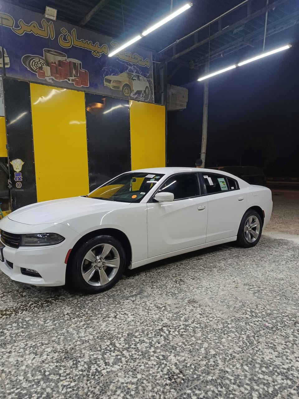 تشارجر SXT • ٢٠١٩ • رقم اربيل