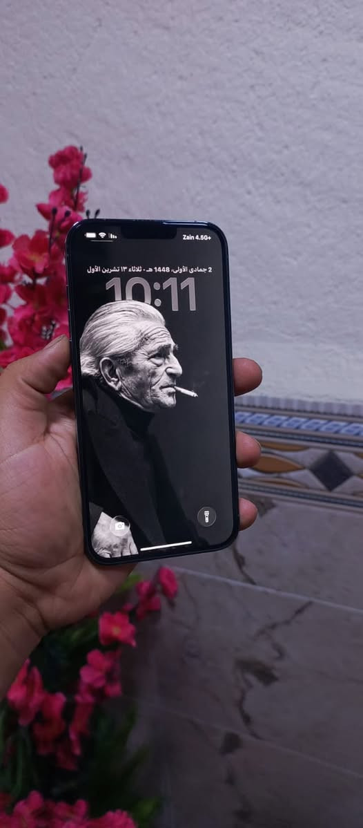 ايفون ١٣ برو ماكس • ٥١٢ • ضهره مكسور