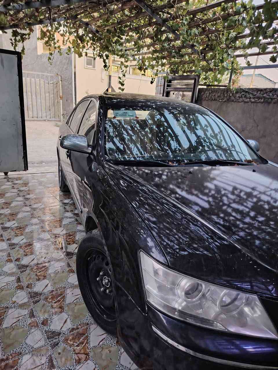 سوناته فول *********** بابل مسيب
