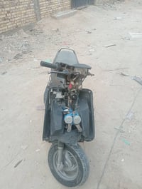 فراشة • نضيفه • سلف وهندل