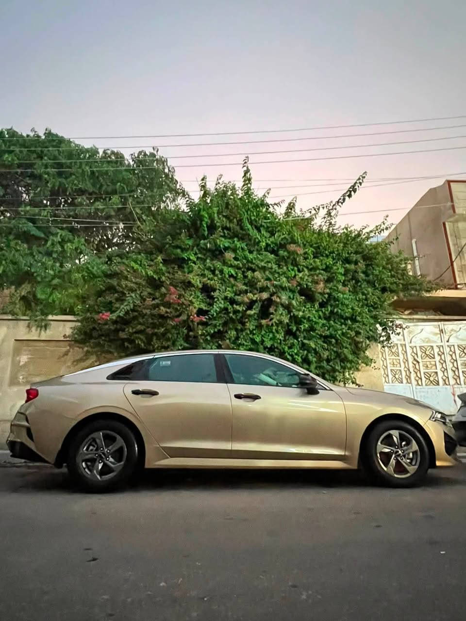 مكلف بنشر السلام عليكم 
كي فايف موديل 22 لون مميز وارد امريكي معوقين وكاله عامه بعد سنه او اقل تصير حرا ايرباكات كلهه سليمه اخوان صور الحادث مال امريكا بالمنشور وبالعراق صار بيهه حادث مثل الحادث الخلفي مال امريكا صندوك مصلح وراجع ميه بالميه وجاملغ بيهه قطعتين البنيد مبدل من امريكا وبالعراق مبدل جاملغ اصلي تفصيخ  والصندوك مصلح سعرها (163) وبخدمتكم تفاصيل اكثر اتصل او راسل واتساب / ***********
