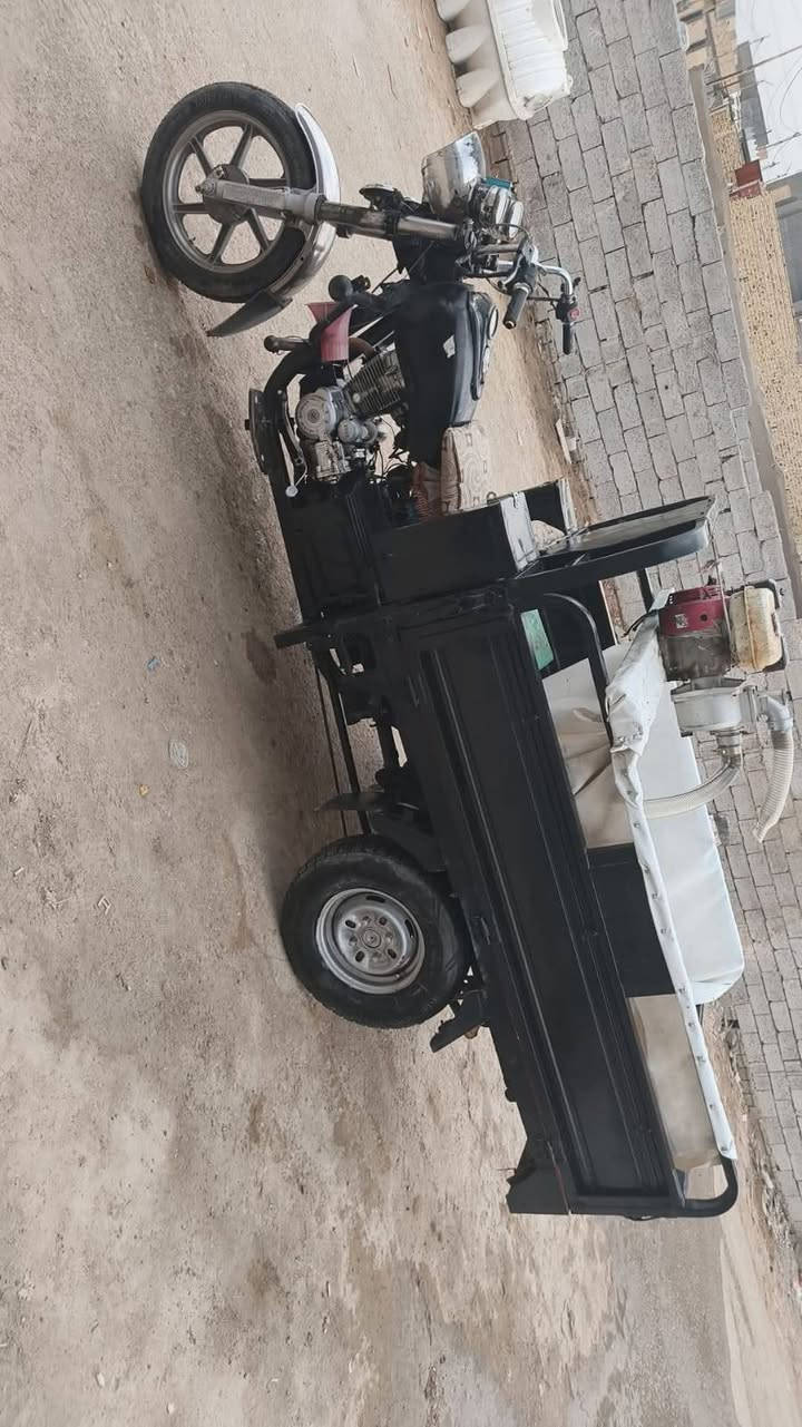 قستوته • ٢٠١٦ • مكفوله