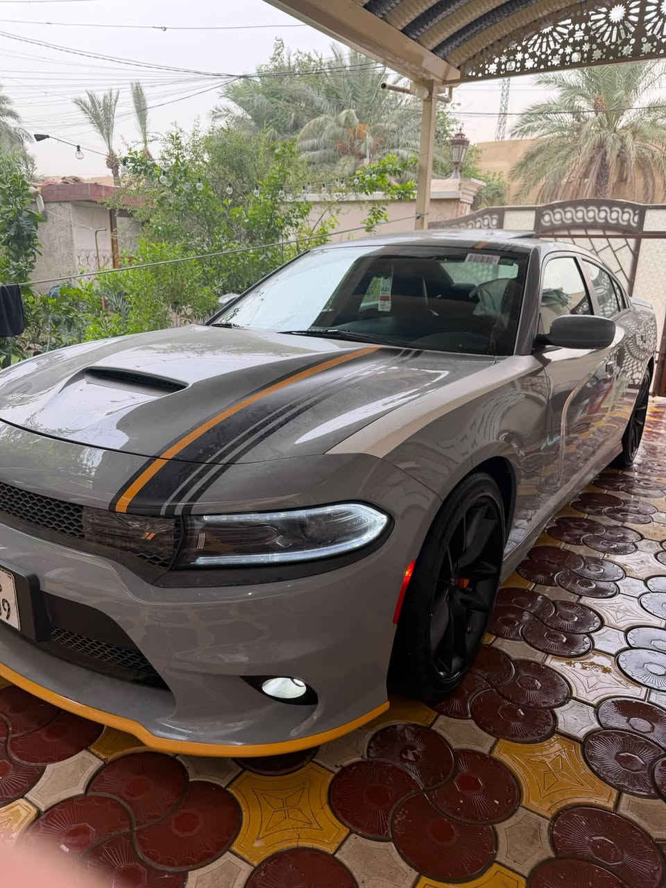 جارجر GT • ٢٠٢٢ • اورنج ادشن