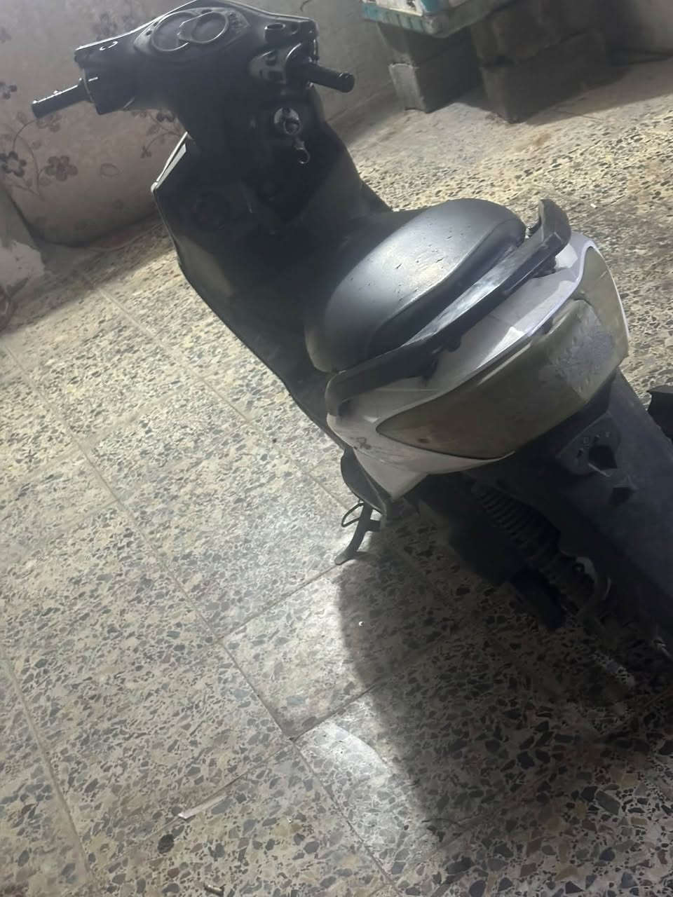 سكنس فحل • نارية • سلف شغال