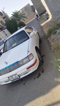 كراون بطه • ١٩٩٣ • مكفول
