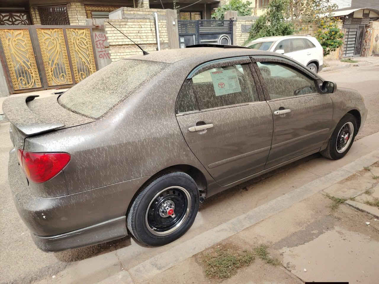 كورلا نحله 2007 وارد امريكي
ضربتها قبق بانزين مال امريكا 
مصبوغة عام جمالية 
لايت زنون عالي وناصي 
تخم نوزل وبلك وفيتبم  جدد 
تخم تاير نضيف سنوية بأسمي رقم انكليزي بغداد /سنويةلغاية 2029 
سعر 83 وبيه مجال 
مكلف بالنشر رقم صاحب السيارة 
*********** ابو يوسف
