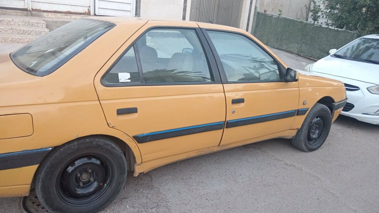 بيجو لميس • ٢٠١٣ • بغداد
