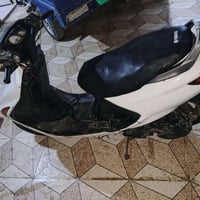 فراشه • نظيفه • شغاله