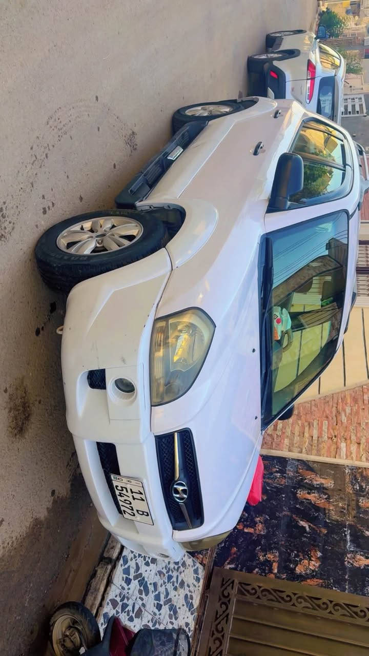 توسان • ٢٠٠٩ • بدون صبغ