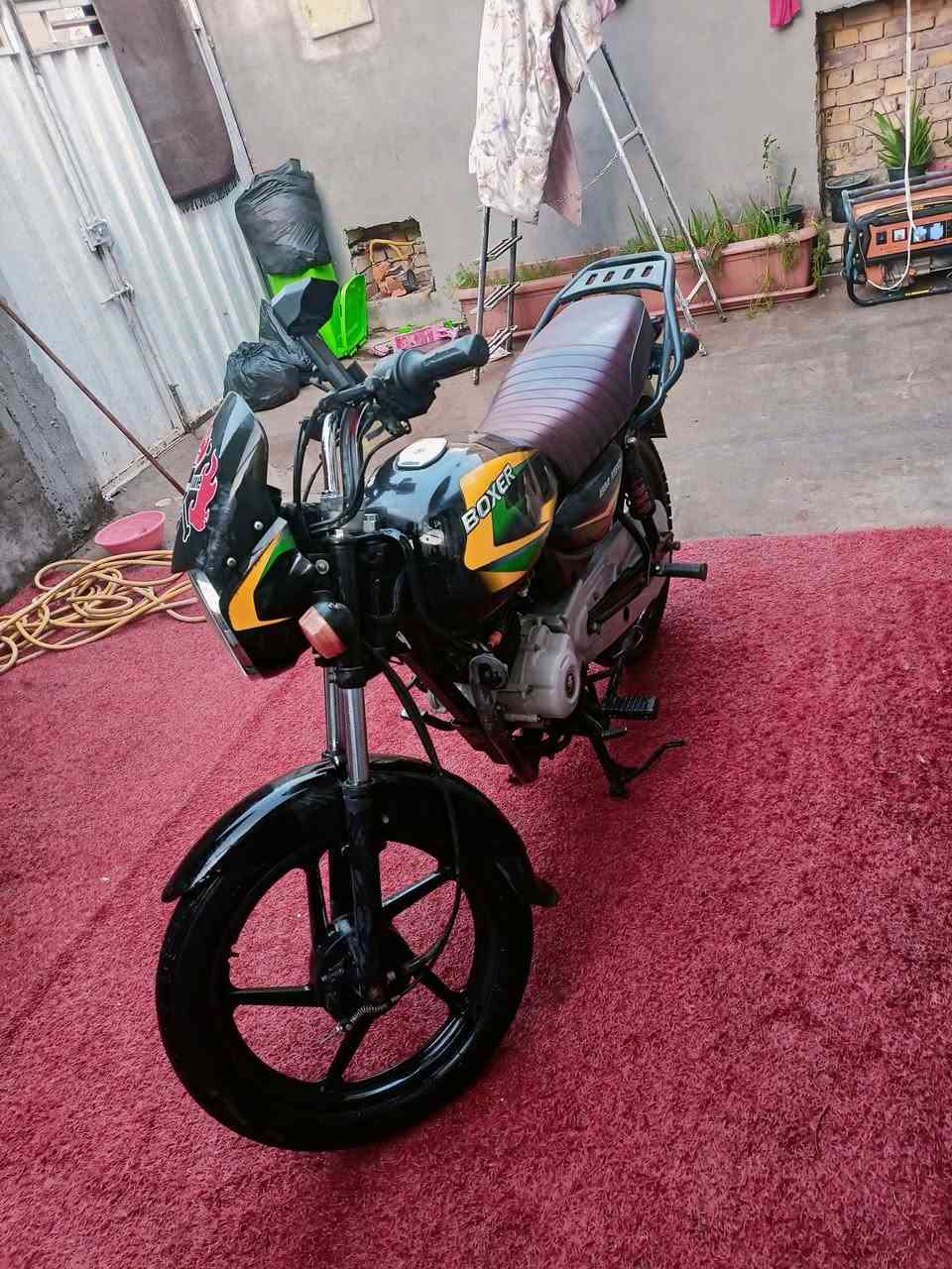 بوكسر • ٢٠٢٣ • نضيفه
