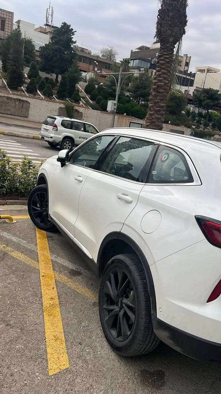 هافال ٢٠٢٤ • رقم اربيل • ماشي ٦٣٠٠٠