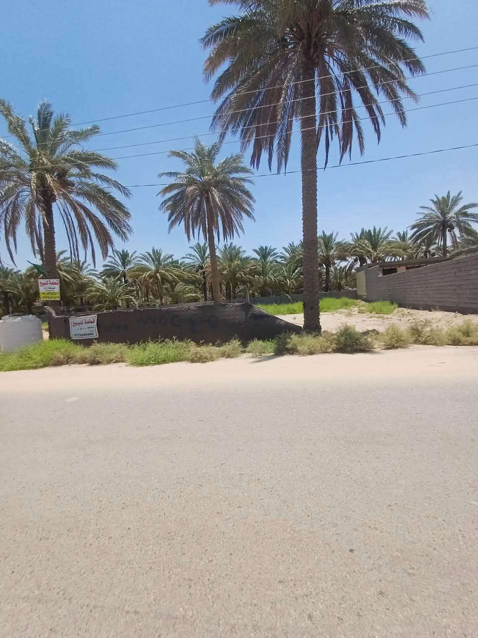 بسواده رشديه • ٥٠٠م • طابون سند ٢٠٢٥