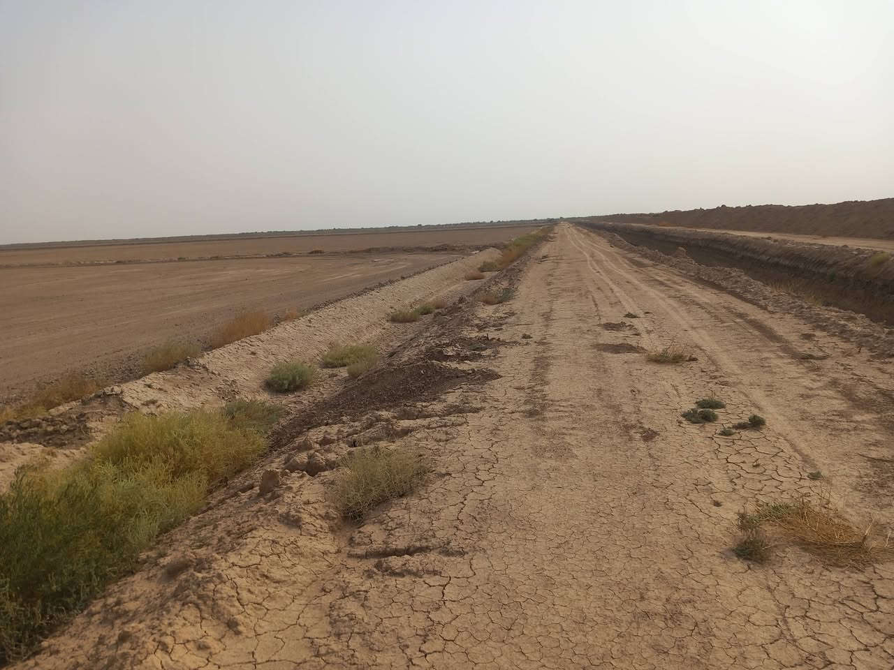 أرض زراعية • ١٠٠٠ دونم • الكوت طريق بدره