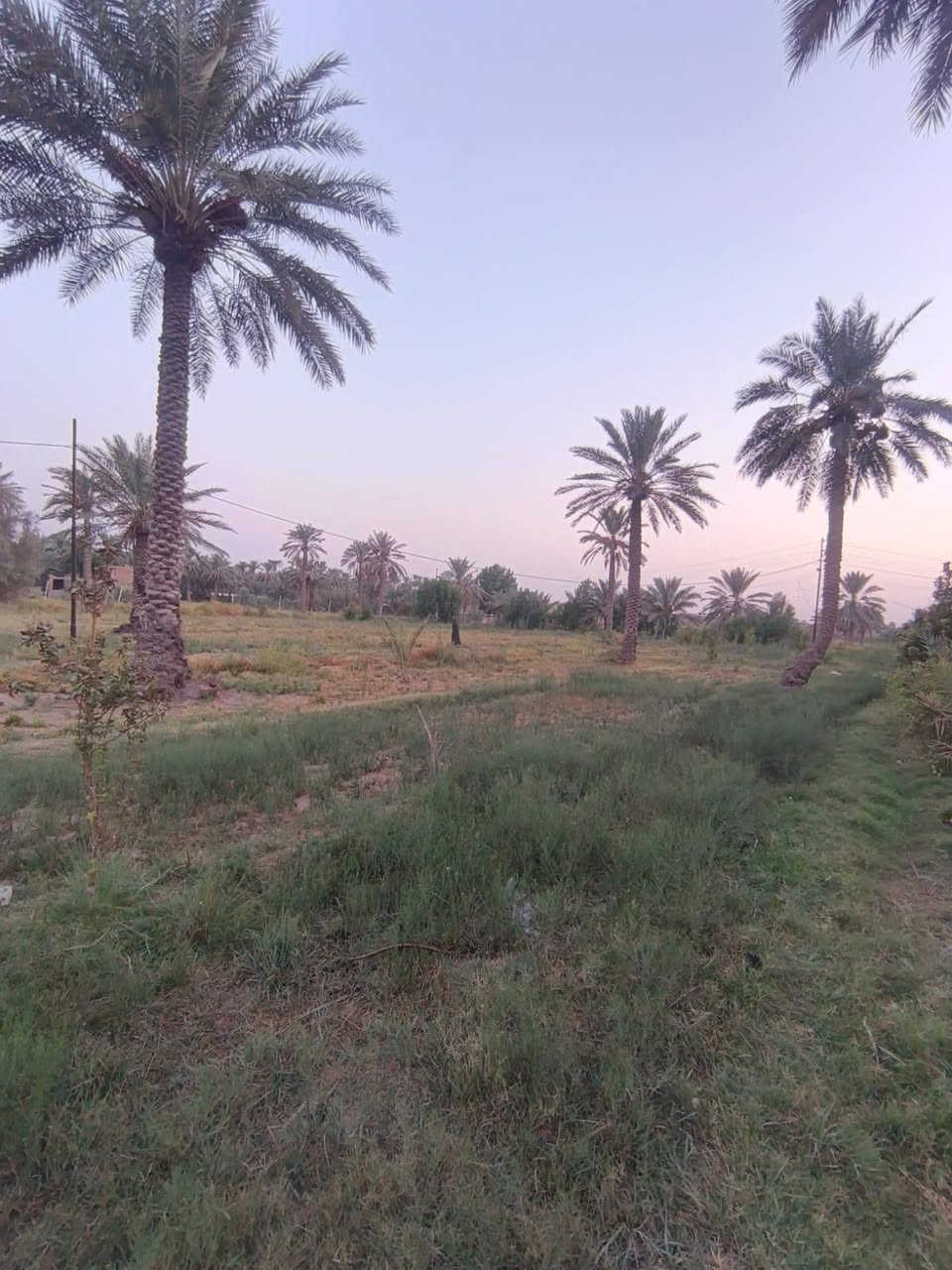 يعلن مكتب فراس الطالبي للعقار عن وجود كاع مساحه 3دونم على طريق أبو عصافير جانب مزرعه السعاده تحتوي على بيت مساحه 260متر تبعد عن الشارع الرئيسي مال أبو عصافير 70متر سند 25متوفره كافت الخدمات بأدارة فراس الطالبي للعقار والكافت التعقيب والمقاولات والعقارات العامه عنوان المكتب حي المعلمين طريق سيد براهيم للستفسار تصل على الرقم ***********@
