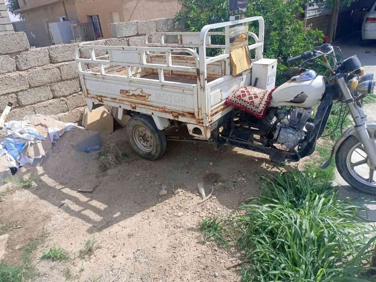ستوته • نضيفه • بلاديه