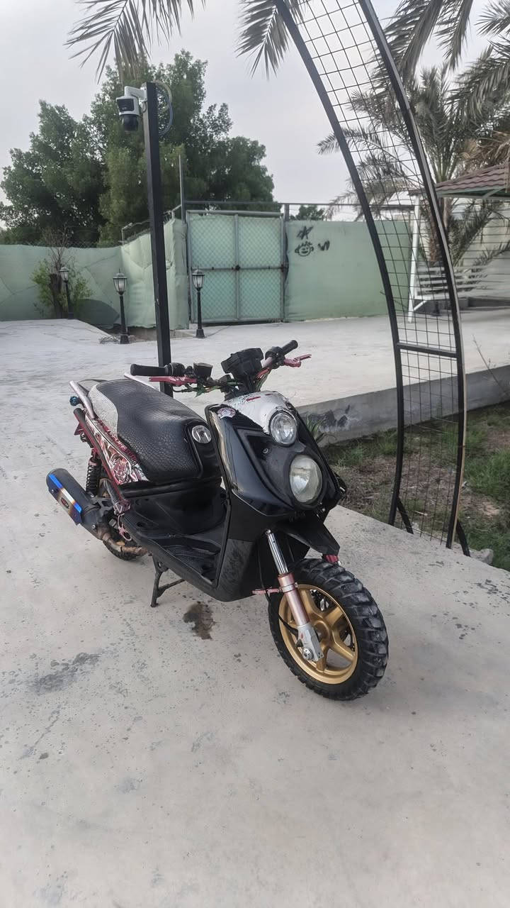 سكنس جبلي • مزودة • مديل ١٤