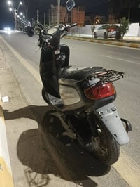 منغولي • فحل • على ايدي