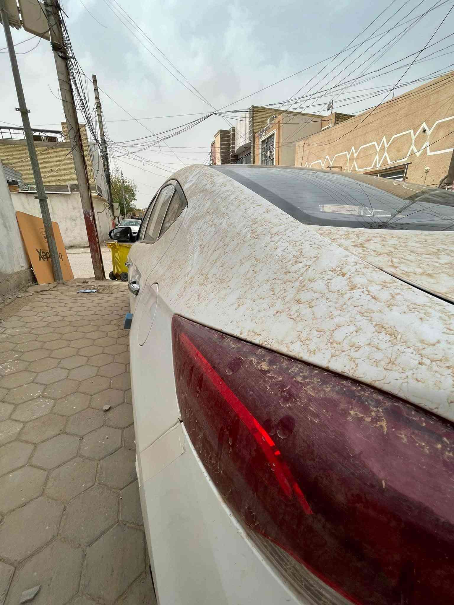 سلام عليكم النترا 2018 سوبر خليجي رقم اربيل وكاله او تحويل سيارة جديده وجاهزه منضومه تبريد جديده حداديه وره وكدام جديده خمسه ويلكب محرك 2000 بلادي 3 وضعيات قياده مري شفط فتحه سيارة محولبه حالوب خفيف ومامبين اله تتقرب عليه وبارد بل باب لوره موضح بل سونار عده هذني كفاله عامه مكاني نجف السعر 144 وبيه مجال ميعجبك سعر اعبر المنشور الاستفسار *********** متوفر واتساب بيع او مراوس
