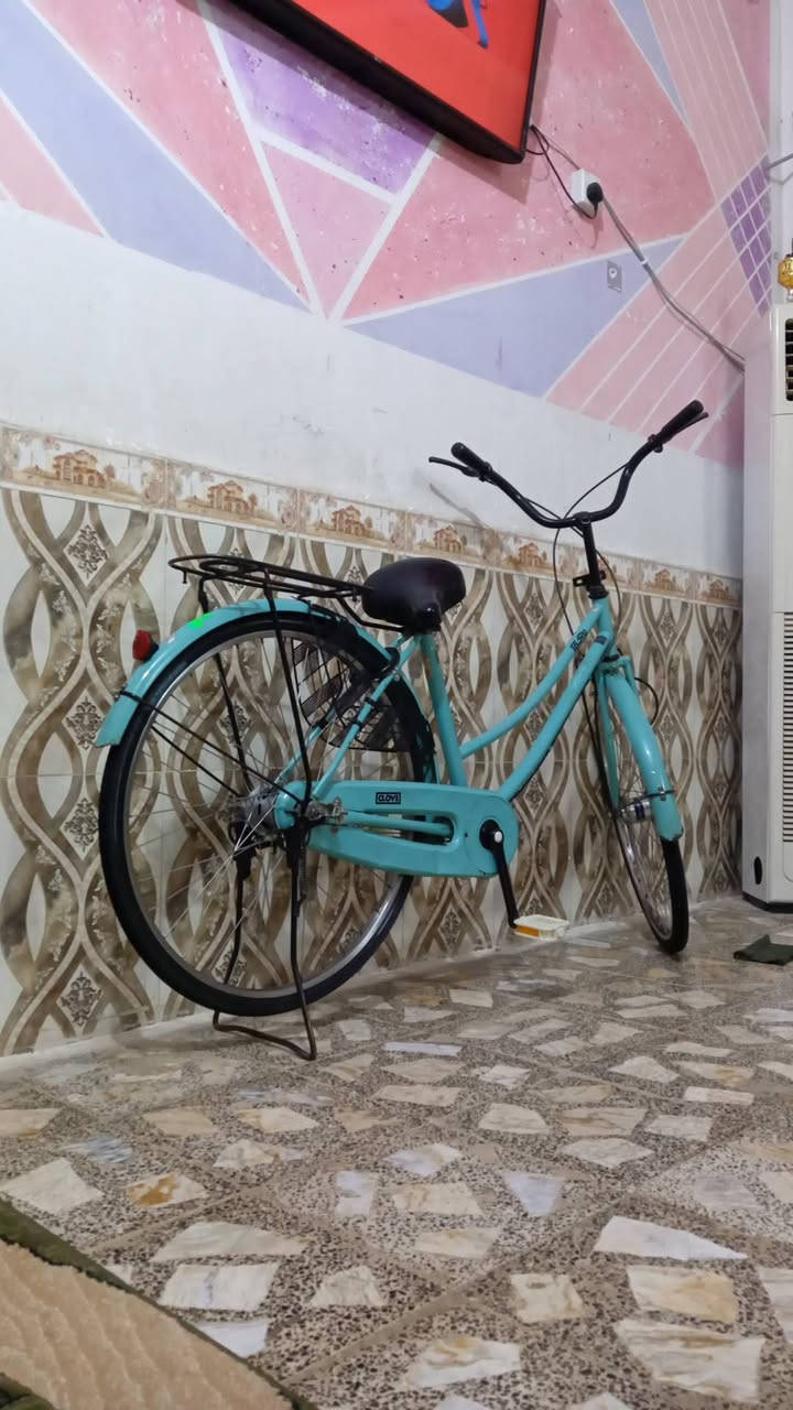 باسكل مراوس • حجم ٢٦ • كفاله