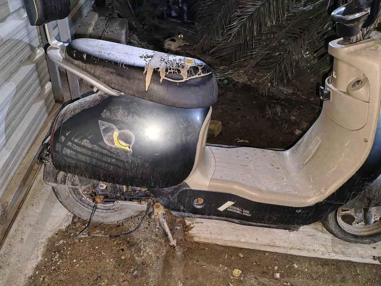 السلام عليكم دراجه شحن بطاريات جديده فقط نقص حساس في الملف الملف سعره 60 السعر 300 وبيها مجال العنوان البصرة قضاء المدينه الرقم واتساب و شريحه ***********
