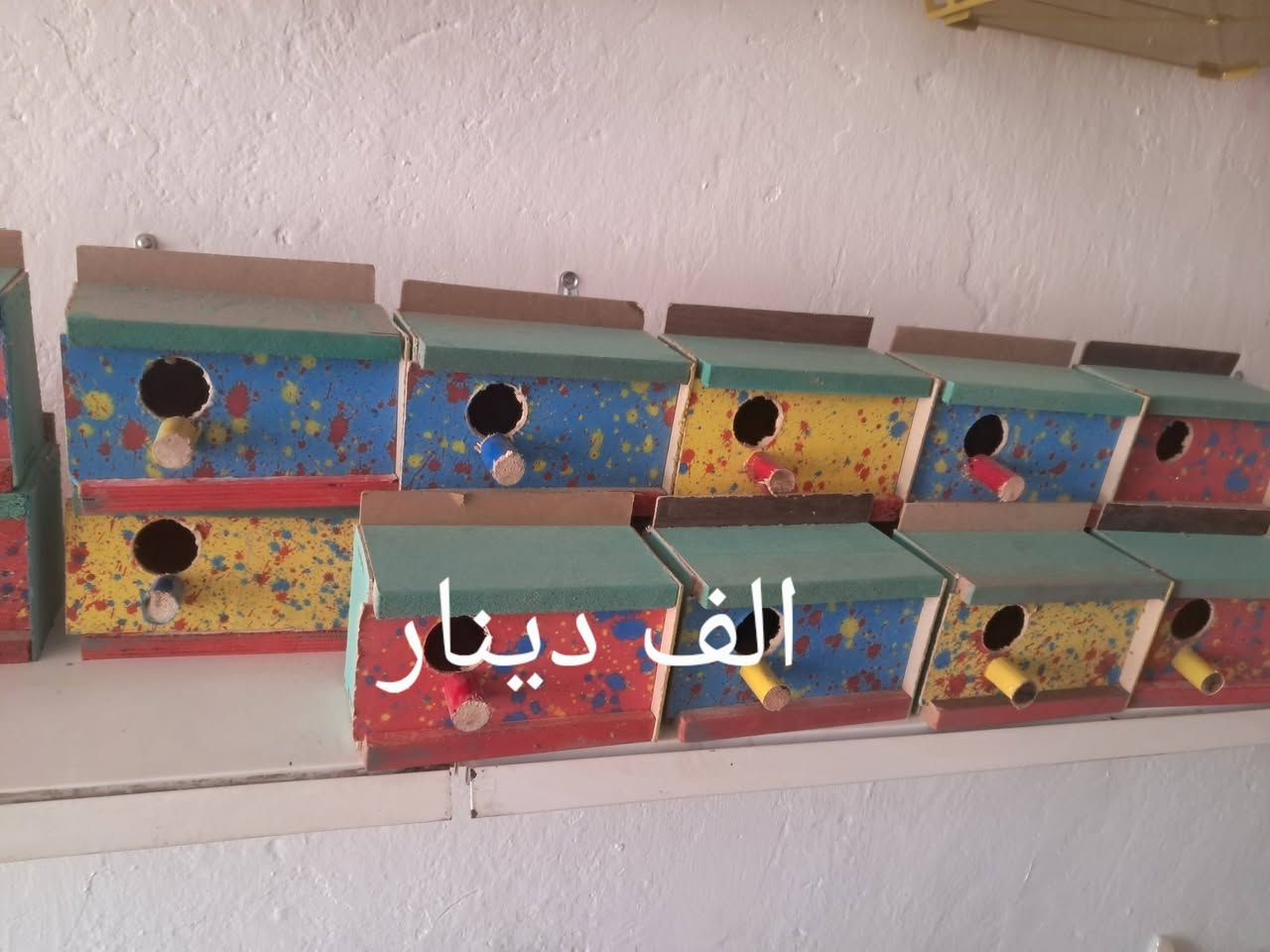 حي زهور • أدوات صيد • أعلاف