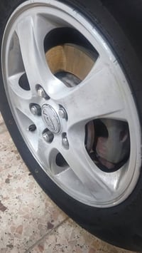 تخم ويل كب النترا حجم 15 بيع او مراوس حسب الانتفاق العنوان بغداد 07809...