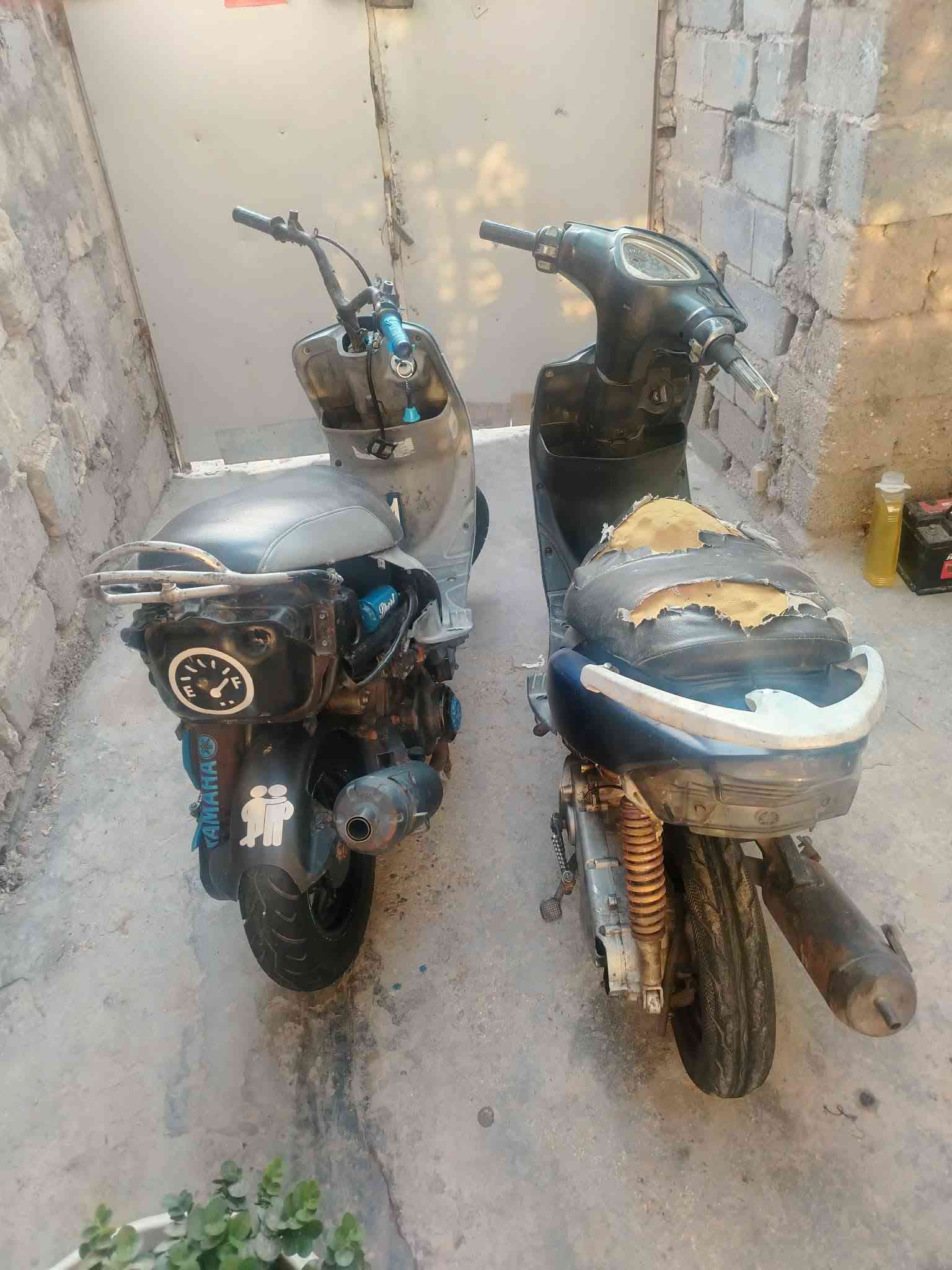 للبيع او مراوس بوحده نضيفه انطيهن ثنينهن واخذ وحده نضيفه أو الدراجات شغالات ثنينهن بس المكاس يرادله شوته وكابريته ماته وصخه او الذيل مالته موجوده او المنغولي نضيفه هينوب بس الكابريته هم وصخه كلمن او سعره شراي خابرني مو شراي لا تعبني فدوه
الرقم *********** بي واتساب
للبيع او مراوس بوحده نضيفه انطيهن ثنينهن واخذ وحده نضيفه أو الدراجات شغالات ثنينهن بس المكاس يرادله شوته وكابريته ماته وصخه او الذيل مالته موجوده او المنغولي نضيفه هينوب بس الكابريته هم وصخه كلمن او سعره شراي خابرني مو شراي لا تعبني فدوه
