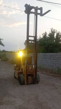 شوكيه • جاهزة
