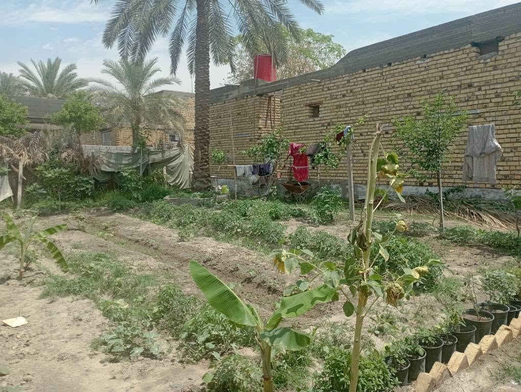يا الله سلام عليكم 420متر ملك صرف زراعي حق التصرف موقع أثار بابل حي المرتضى شار الصيدلي للبيع موقع مميز كافت الخدمات متوفره سعر 145 يتوفر أرض 2دونم واجهه شط وجهه جدول بابل مكان هدوء موقع مميز ترفيهي سعر 240مليون الي يحب يتواصل رقم الهاتف ***********  يتوفر قطع اراضي نصف دونم حلة, بابل
