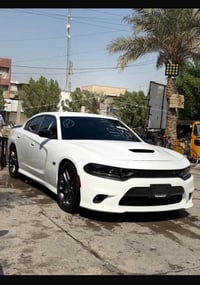 سكات باك • ٢٠٢٣ • رقم بصره