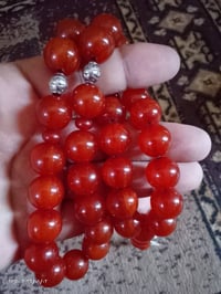 اصيل • ٣٣ حبة • بابل حي العسكري