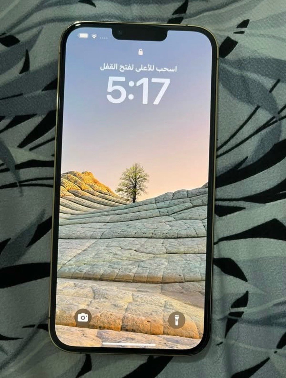 13 برو ماكس شريحتين مو شريحه وحده لون الذهبي نضافه واحد ع واحد مبدل فقط بطاريه اصليه والفيس ايدي مشكله اثر وكعه ويتصلح طبيعي مكان شاميه او ديوانيه للتواصل *********** سعر 550