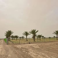 اللبيع 1 دونم   بابو غريب سميلات   قرب من مزرعه التالق   بنص مجمعات شا...