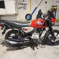 بوكسر • ٢٠٢٣ • ماشية ٢٧٠٠٠