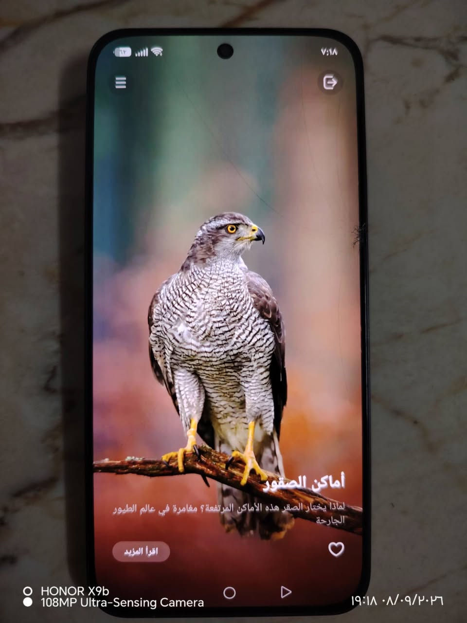 📱 HONOR 400 🔥
💾 512GB | RAM 12GB
📸 كاميرا ممتازة | 🔋 بطارية قوية | ⚡ شحن سريع
🖥️ الشاشة: بيها كسر بالكلاس فقط يعني مو الشاشه 
📦 أدواته كاملة: شاحن + كارت ضمان+ موجود كارتون الجهاز 
💰 السعر: 450 بي مجال شي بسيط 
📩 للتواصل خاص
📞***********
