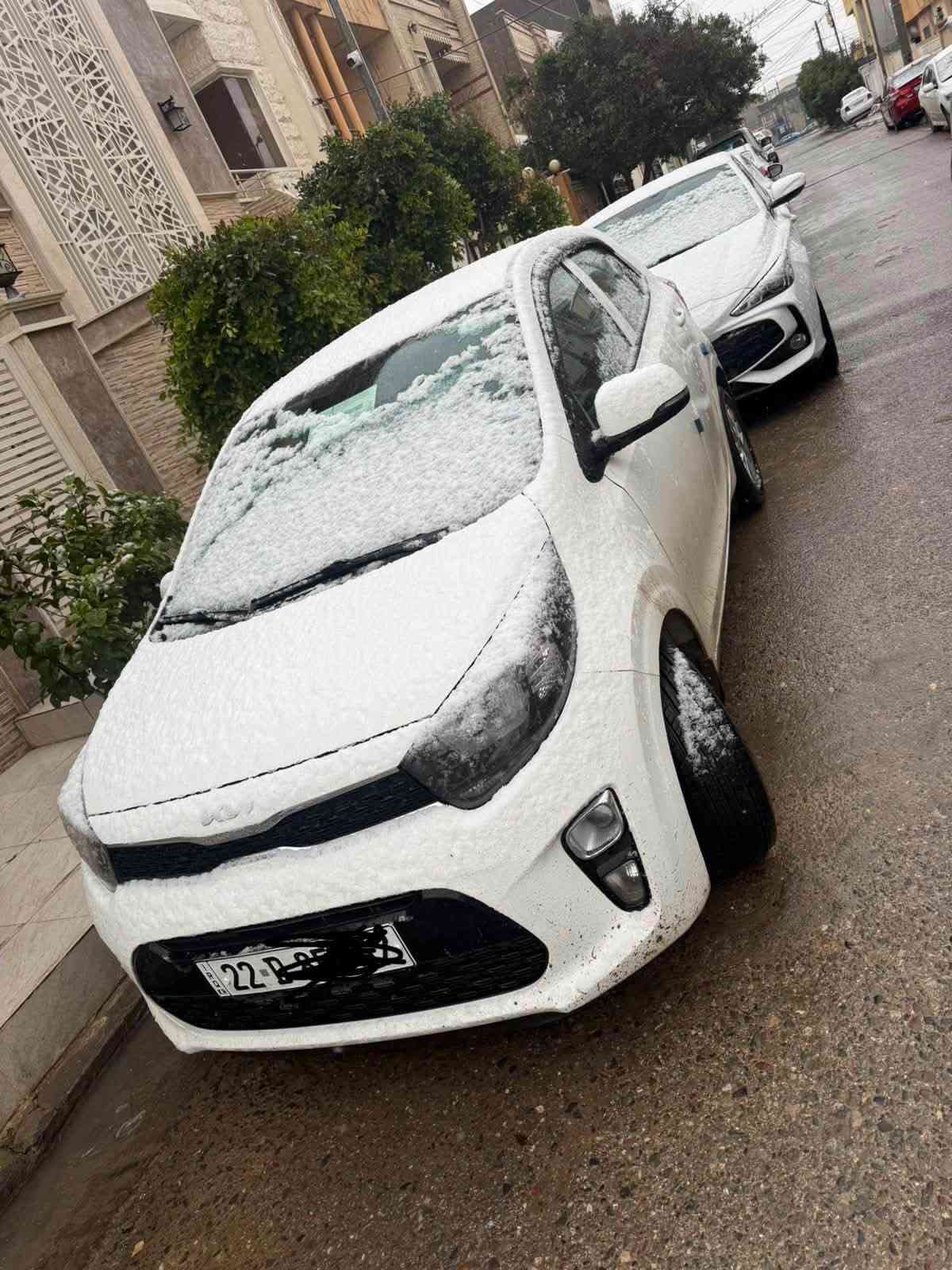 بيكانتو • ٢٠٢٣ • رقم اربيل