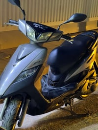 ثعلب • نوزل • معدل