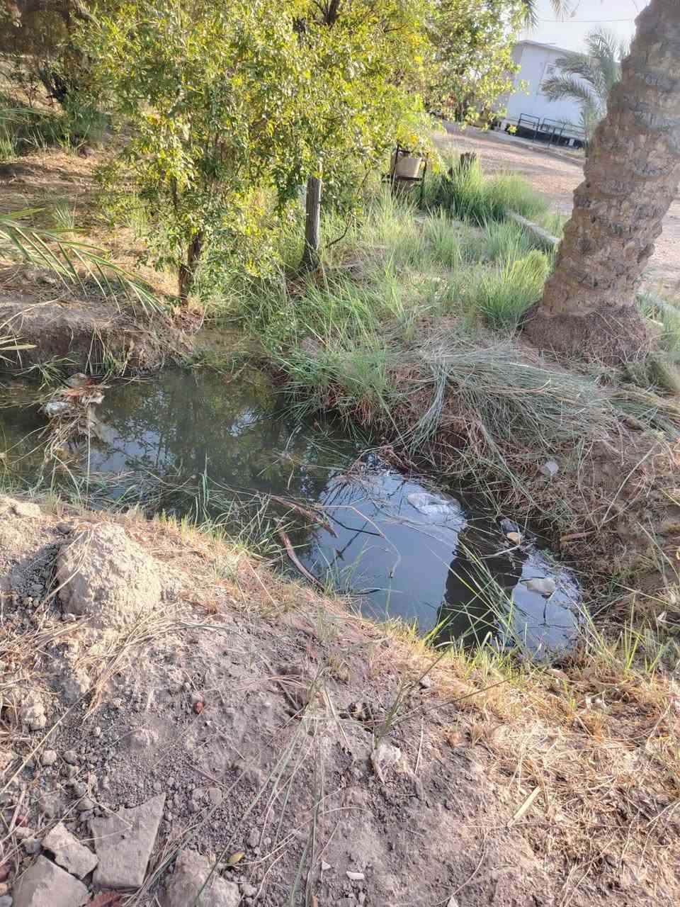 من رخصة الادمن 
للبيع...للبيع....للبيع 
دونمين طابو زراعي سند ٢٥تحويل مباشر شاطئيه بموقع مميز جدا  قرب معمل السمنت للاستفسار الاتصال على الأرقام 
***********
*********** او مراجعة مكتب دلهي مقابل مطعم البهار حي المعلمين الثانيه
