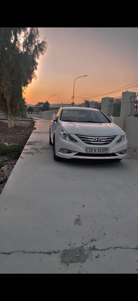 سوناتا ٢٠١٤ • زِنون كامل • بابل بكرلي