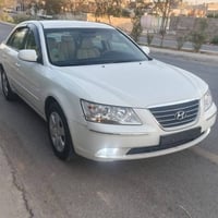 سوناتا • ٢٠١٠ • ضرر